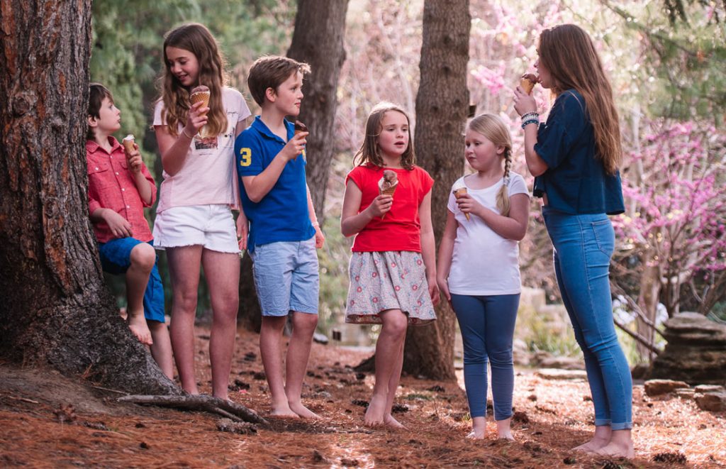 Ice Cream made from fresh pure Tasmanian cream Valhalla Ice Cream